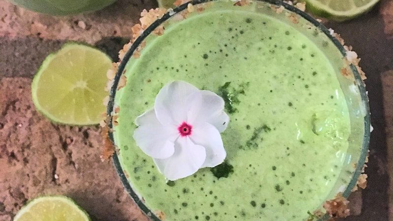 Key lime pie protein shake for weight loss