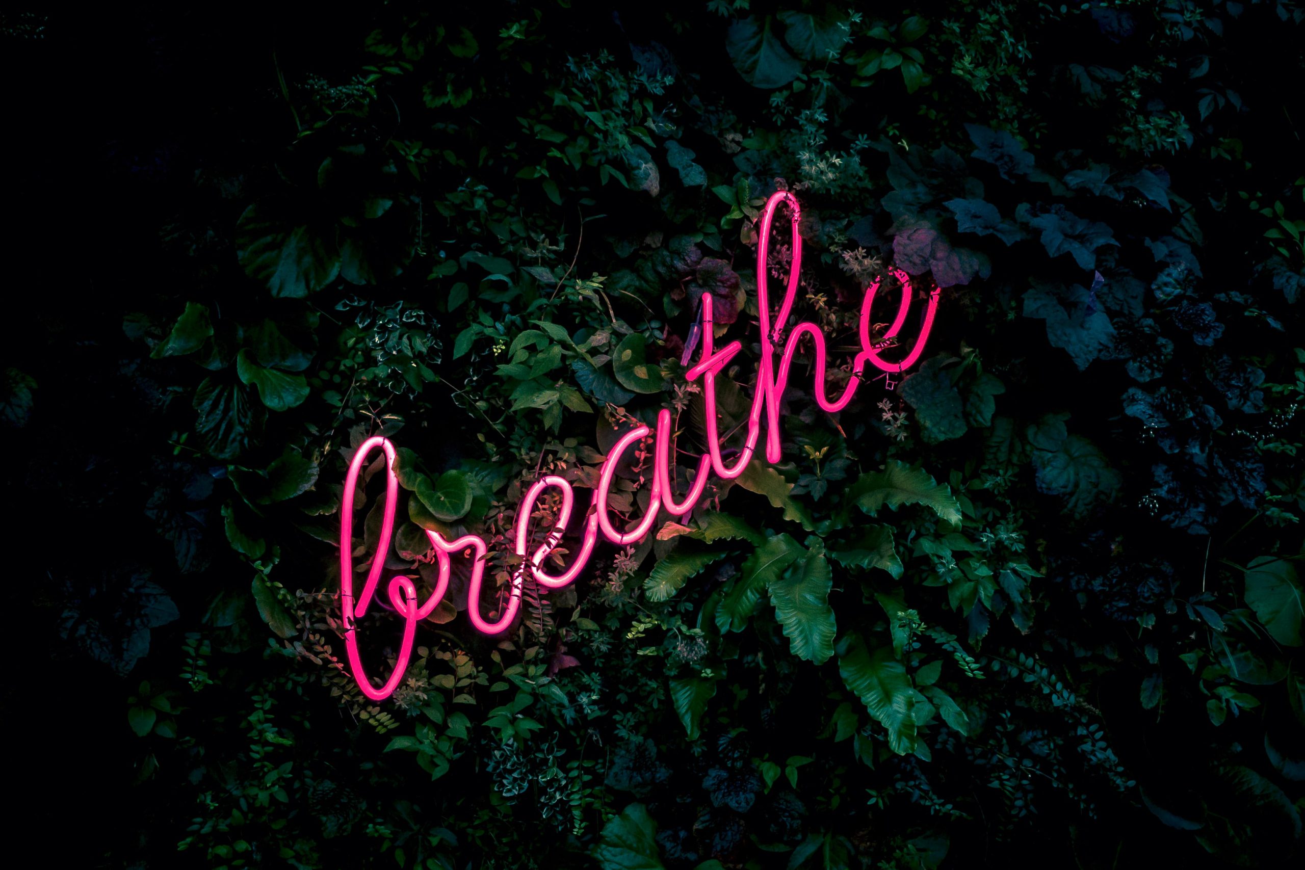 Read more about the article Benefits of Deep Breathing for detoxification